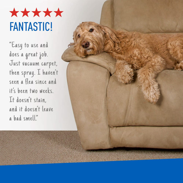 ADAMS Flea & Tick Carpet & Home Aerosol Spray, 7-Month Flea Protection, Treats Up to 2K Sq Ft, 16 oz