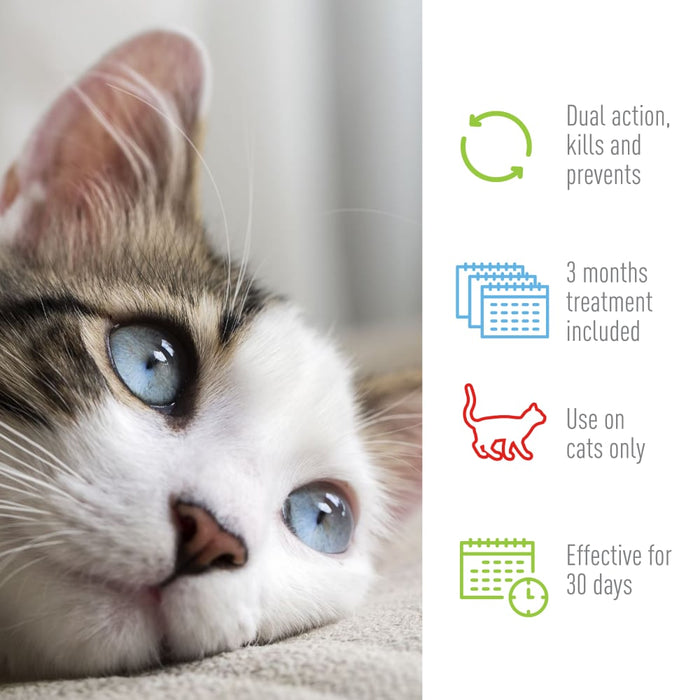 ADAMS Plus Flea & Tick Spot On for Cats, 3 Month Supply