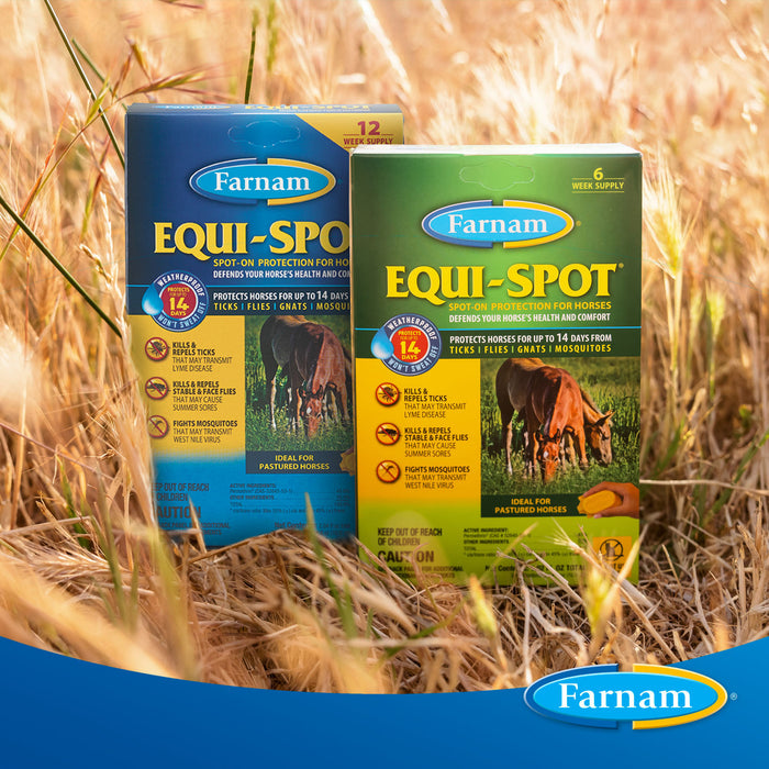 Equi-Spot, 6 week supply -   