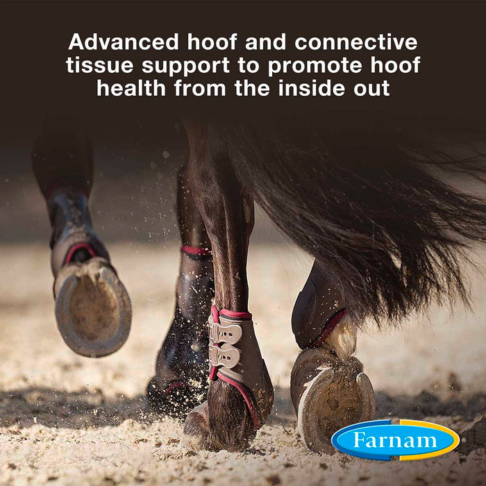 Horseshoer's Secret Hoof & Connective Tissue Supplement - 7.5 lb Extra Strength Hoof & Connective Tissue Supplement  