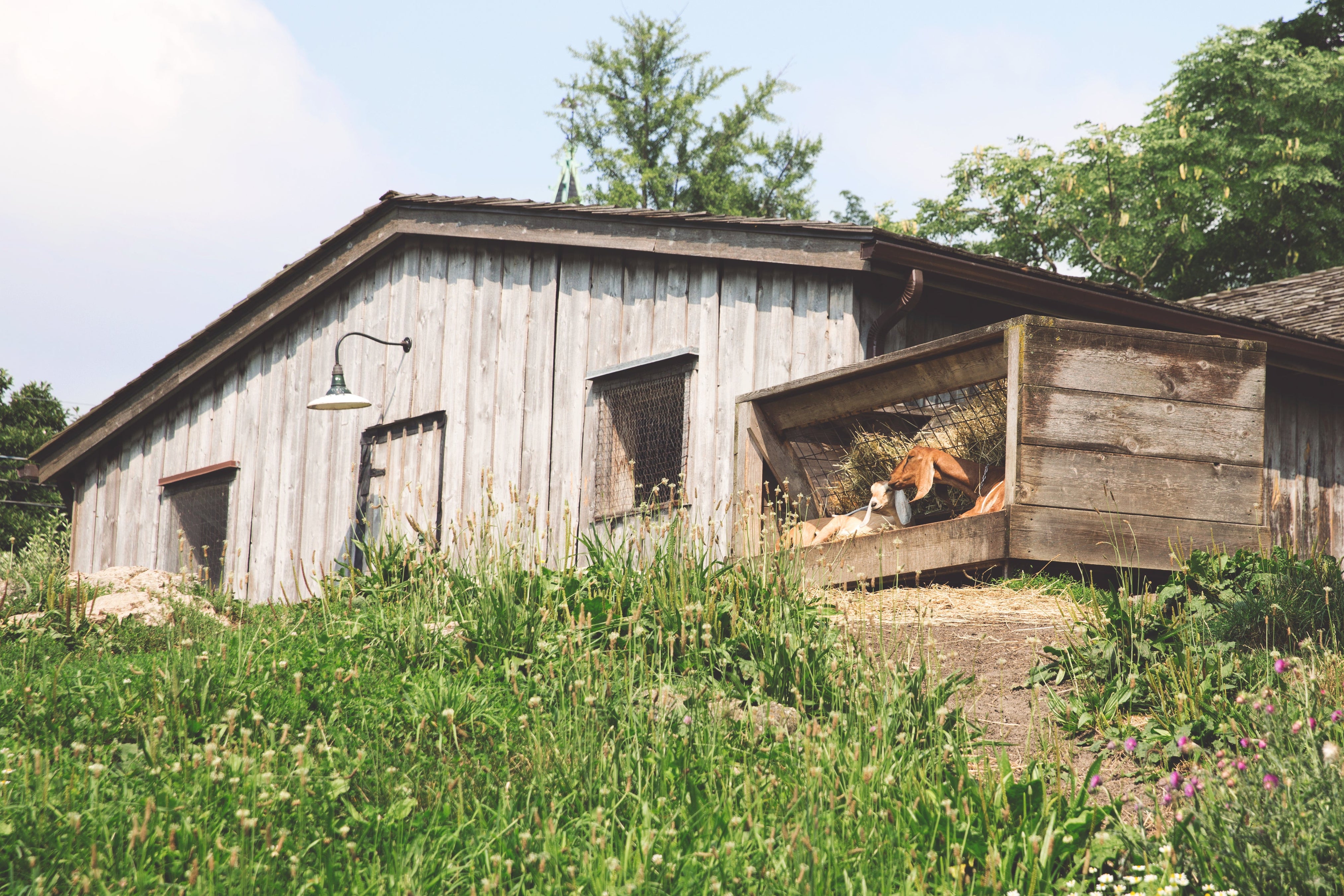 Jeffers Pet, Equine, & Livestock