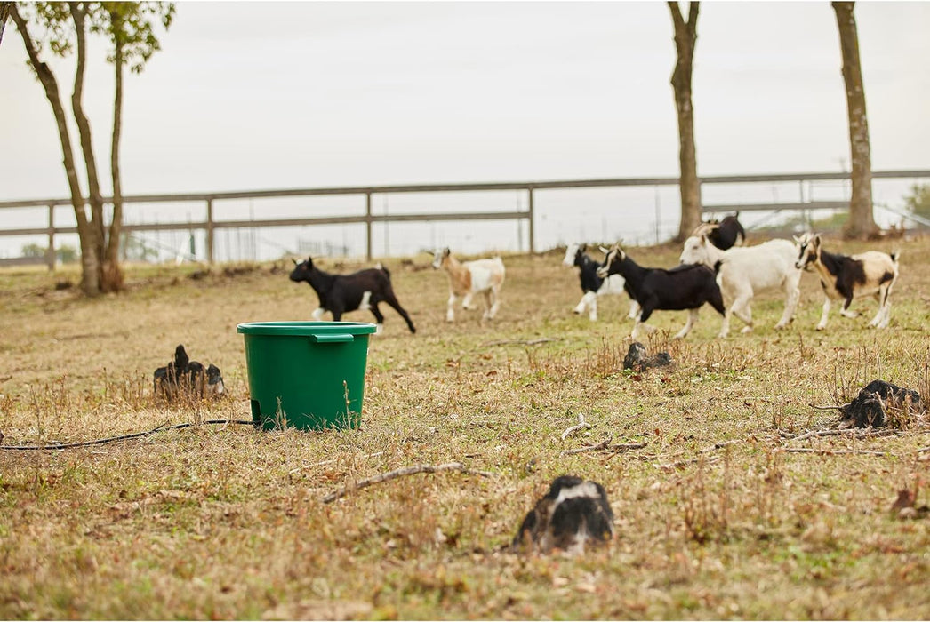 Farm Innovators 16 Gallon Heated Tub Bucket, Green - Jeffers - Farm & Ranch Supplies > Livestock Feeders & Waterers