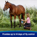 Farnam Endure Sweat - Resistant Fly Control Spray for Horses - FAEA - 32 oz - 8