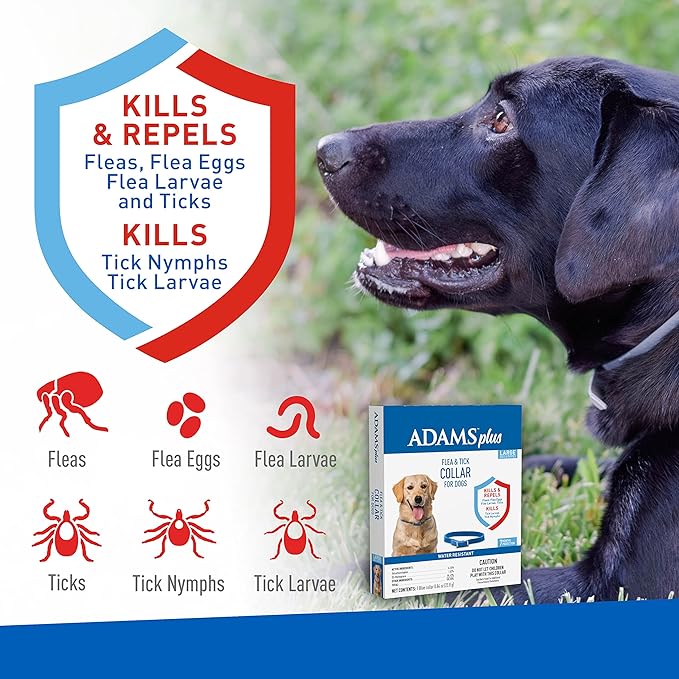 Adams Plus Dog Flea & Tick Collar - Adams Plus Flea and Tick Collar for Dogs - Large  