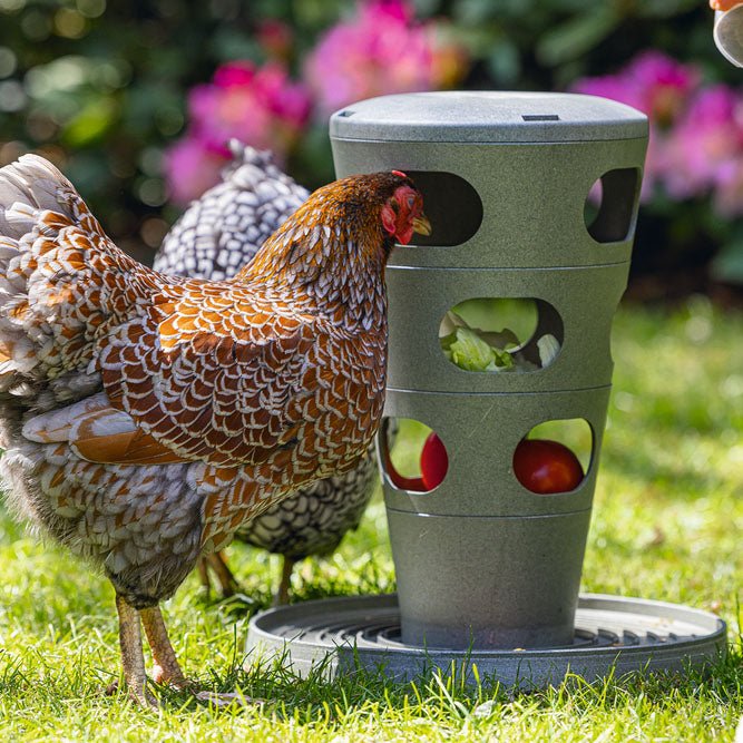 Feed Tower for Chickens – Eco - Friendly, Three - Level Poultry Feeder - GAUEW - 3