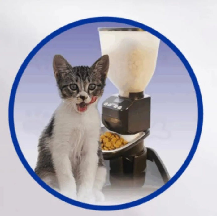 Feeding Friend Automatic Pet Feeder – Timed Portion Control Food & Water Dispenser for Cats and Dogs - RL33 - Taupe - Small - 1 - 20