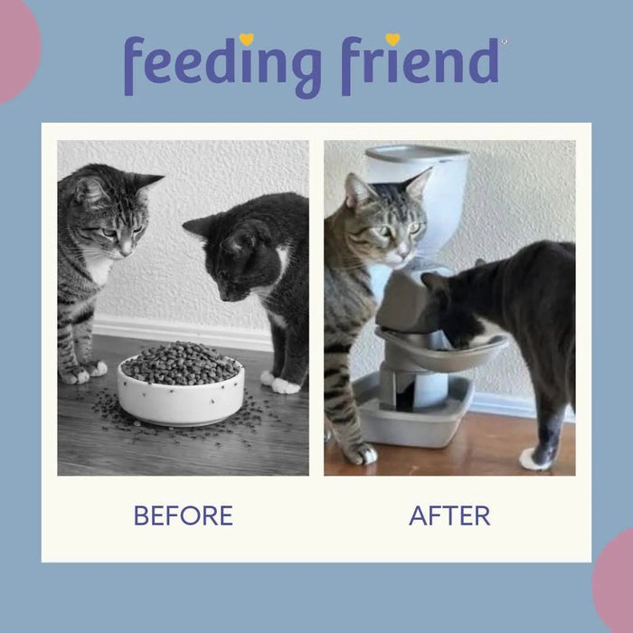 Feeding Friend Automatic Pet Feeder – Timed Portion Control Food & Water Dispenser for Cats and Dogs - RL33 - Taupe - Small - 1 - 31