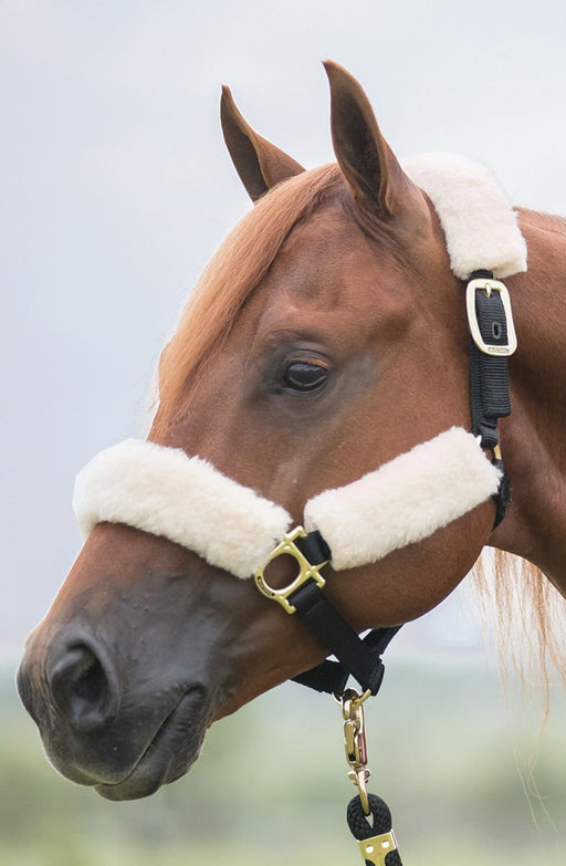 Fleece Halter Cover Set, Natural - Jeffers - Horse Supplies > Horse Tack > Horse Halters