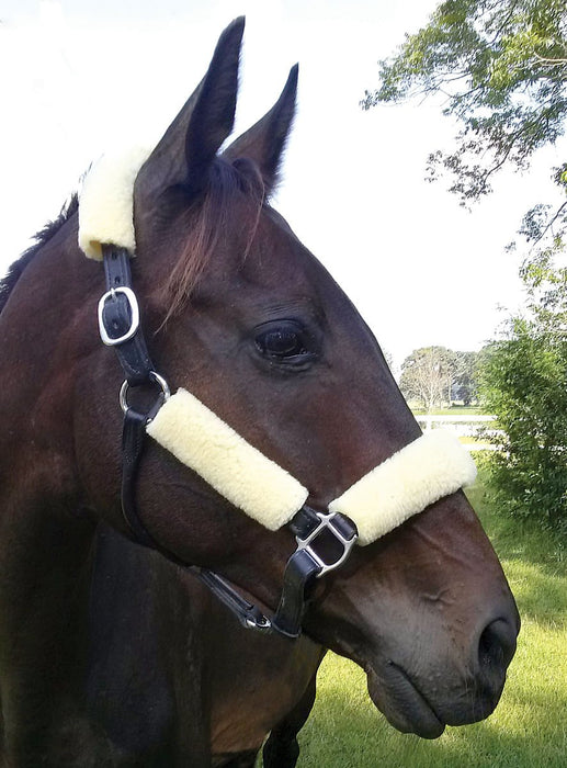 Fleece Halter Tube Set - Jeffers - Horse Supplies > Horse Tack > Horse Halters