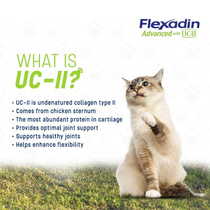 Flexadin Advanced Chews with UC - II Joint Supplement for Dogs & Cats - T6R6 - Chicken - 30 ct - 8