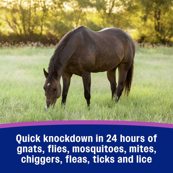 Flysect Super - 7 Fly Spray - FAX1 - Flysect Super - 7, quart - 5