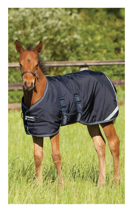 Amigo 600D Foal Blanket