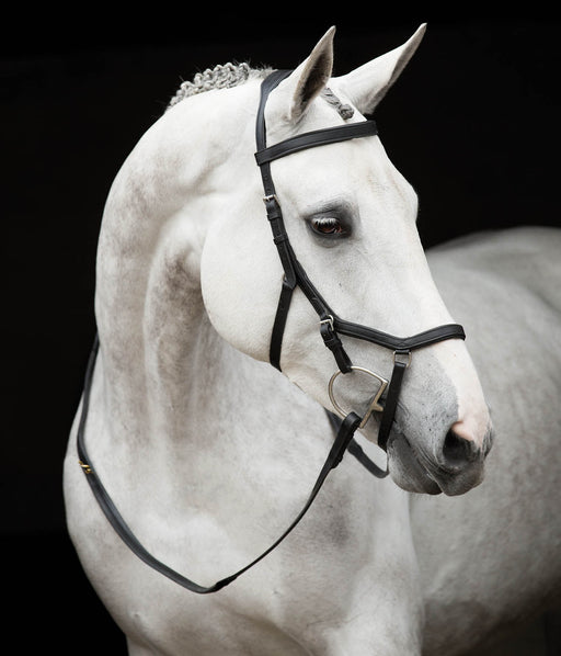 Rambo Micklem Competition Bridle, Black - Pony  