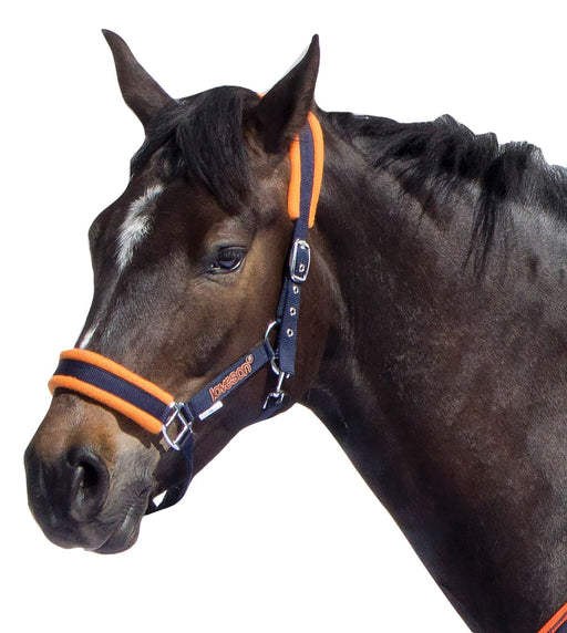 Loveson Nylon Horse Halter - Navy/Orange Pony 