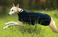 Amigo Fleece Dog Blanket - Large  