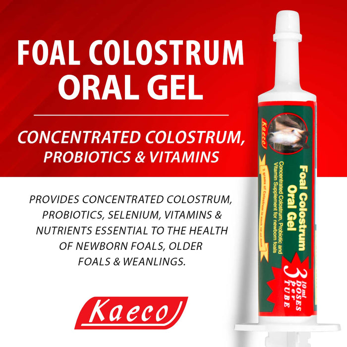 Foal Colostrum Oral Gel - Jeffers - Horse Supplies > Horse Supplies