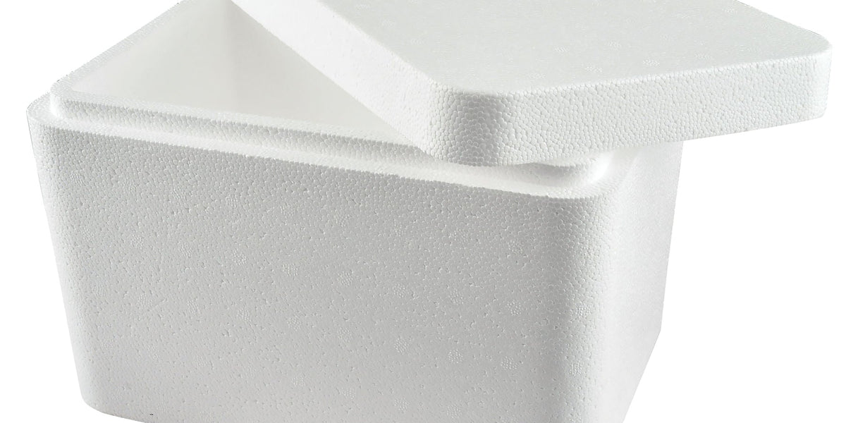 Esky Box Small Foam Esky Bunnings Cooler Box Small Polystyrene