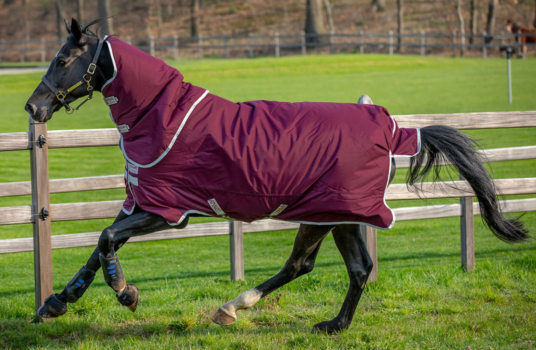 Amigo Hero Ripstop Plus Medium Weight Horse Turnout Blanket - 78 in  