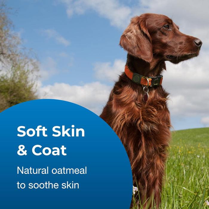 Fresh 'n Clean Oatmeal 'n Baking Soda Dog Shampoo - L3A2 - 18 oz - 5