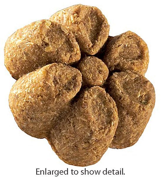 Fruitables Calorie Smart Crunchy Dog Treats, 7 oz - VETF9 - Pumpkin/Blueberry - 5