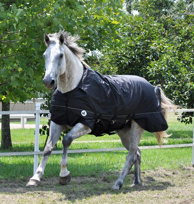 Jeffers 1680D Supreme Plus Medium Weight Turnout Blanket - Black/Black 66 in 