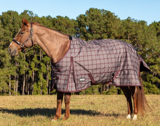 Jeffers Poplar Head Origin 600 Denier Turnout Blanket, 240 Gram, Espresso and Wine Plaid - 81 in  