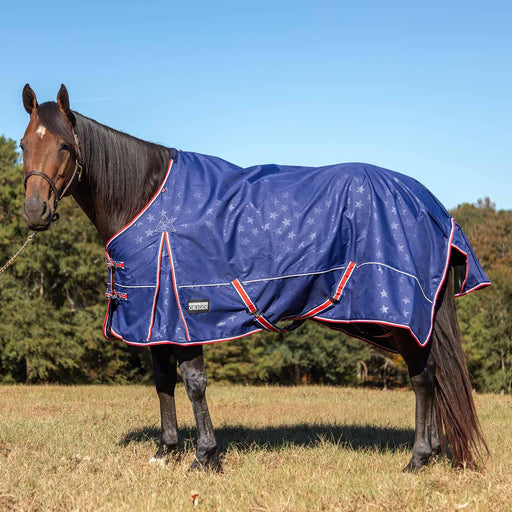 Jeffers Poplar Head Origin 600 Denier Turnout Blanket, 240 Gram, Allegiance - 87 in  