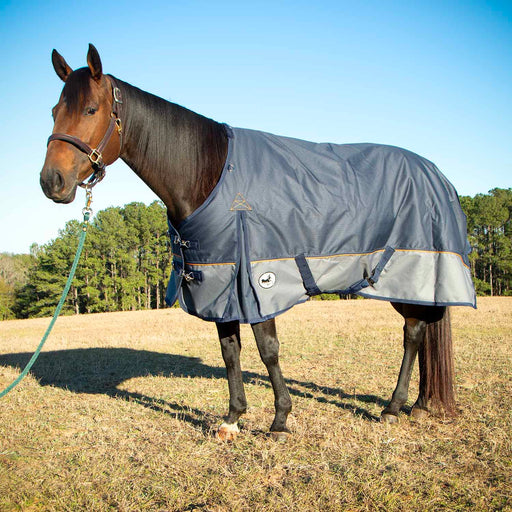 Jeffers Economy Plus 1200 Denier Turnout Blanket with Standard Neck, 240 Gram, Navy & Gray - 72"  