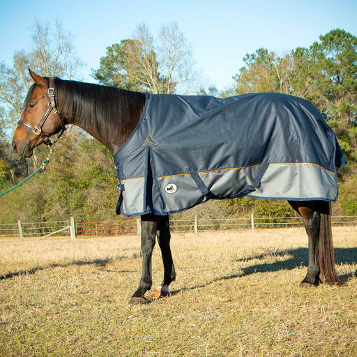 Jeffers Economy Plus 1200 Denier Turnout Blanket with Standard Neck, 240 Gram, Navy & Gray - 72"  