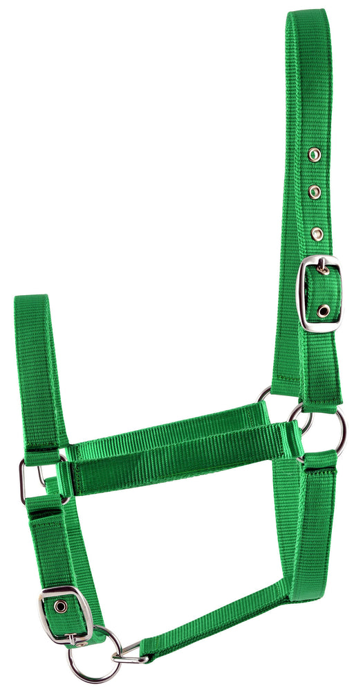 Jeffers Adjustable Nylon Full Size Horse Halter - Kelly Green  