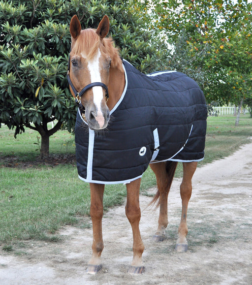 Jeffers Closed Front 240g Fill Stable Blanket for Horses - Black/Silver 63 in 