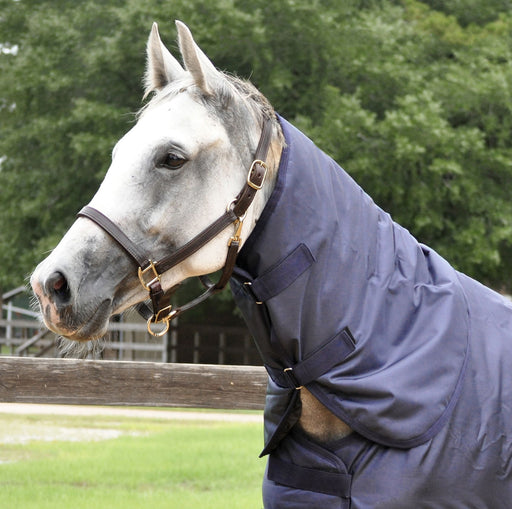 Jeffers Supreme Plus Neck Rug - Navy/Silver Small 