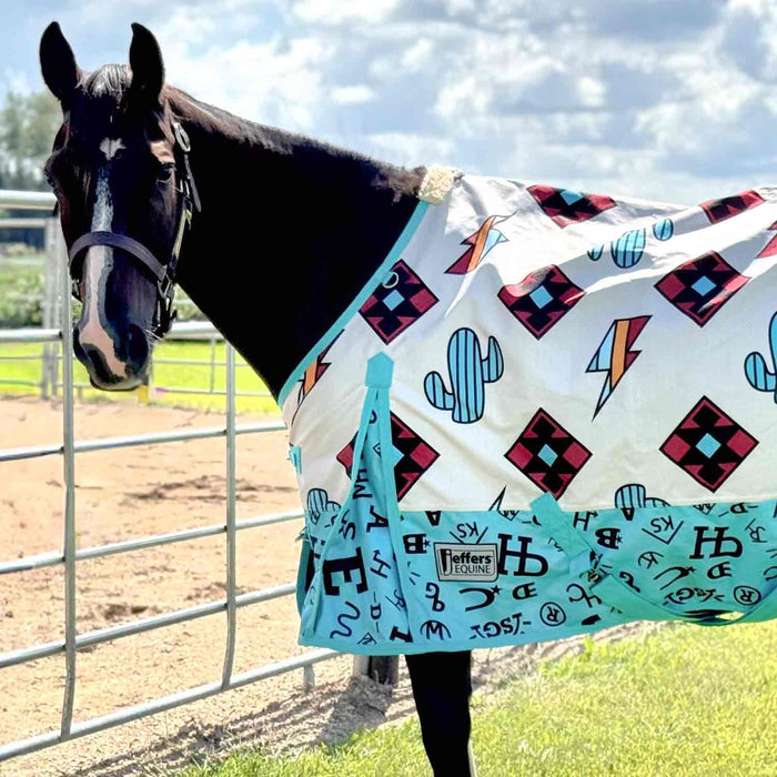 Jeffers Economy 600 Denier Standard Neck Turnout Blanket Color Turquoise