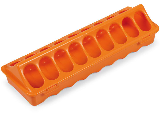 Ground Chicken Feeder, Medium - Orange  