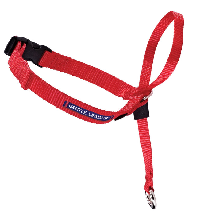 Gentle Leader Headcollar, large (over 60 lb) - Jeffers - Dog Supplies > Dog Apparel > Dog Collars, Harnesses, & Leashes