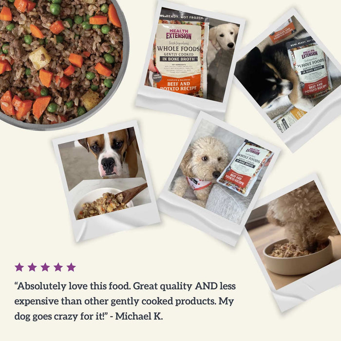 Gently Cooked In Bone Broth Recipe Dog Food Pouches - HE2AY - Lamb & Carrot - 3 oz - 1 Pouch - 21