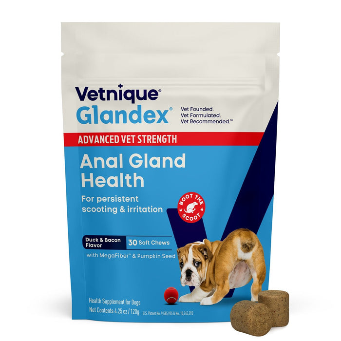 Glandex Advanced Vet Strength Anal Gland Health Soft Chews for Dogs, Duck & Bacon Flavor - VQLB2 - Duck & Bacon - 30 count - 1