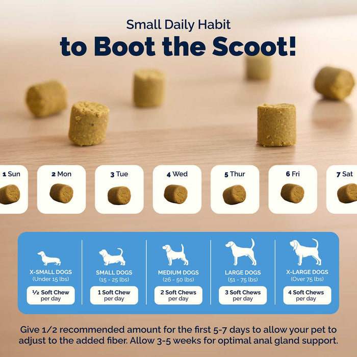Glandex Advanced Vet Strength Anal Gland Health Soft Chews for Dogs, Duck & Bacon Flavor - VQLB4 - Duck & Bacon - 120 count - 12