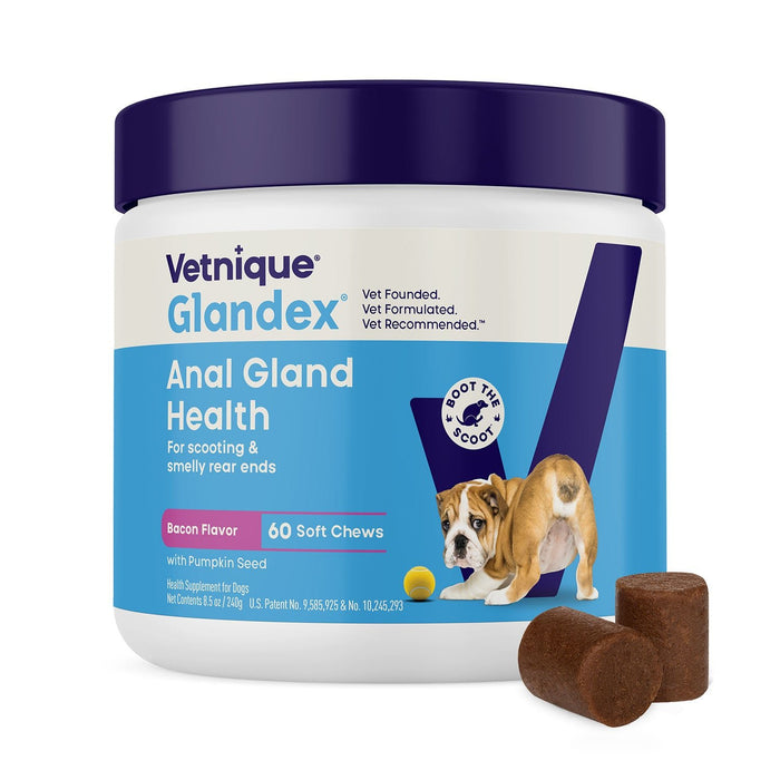 Glandex Anal Gland Health Soft Chews for Dogs - VQLAF - Bacon - 60 ct - 13