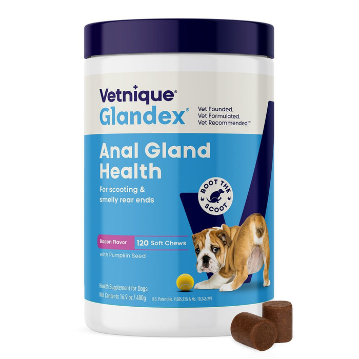 Glandex Anal Gland Health Soft Chews for Dogs - VQLAG - Bacon - 120 ct - 15