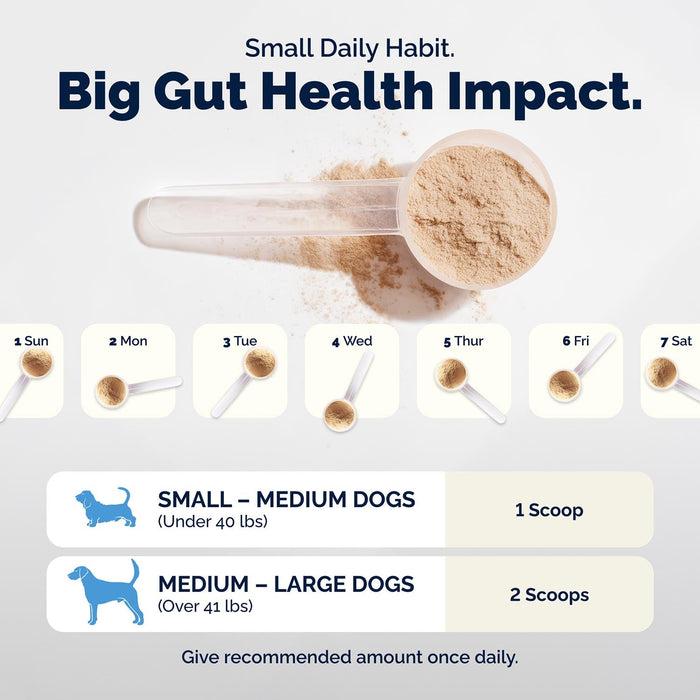 Glandex Daily Prebiotic & Probiotic Powder for Dogs, Pork Flavor - VQLAU - Pork - 8.5 oz - 10