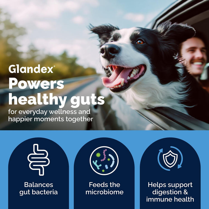 Glandex Daily Prebiotic & Probiotic Powder for Dogs, Pork Flavor - VQLAU - Pork - 8.5 oz - 5