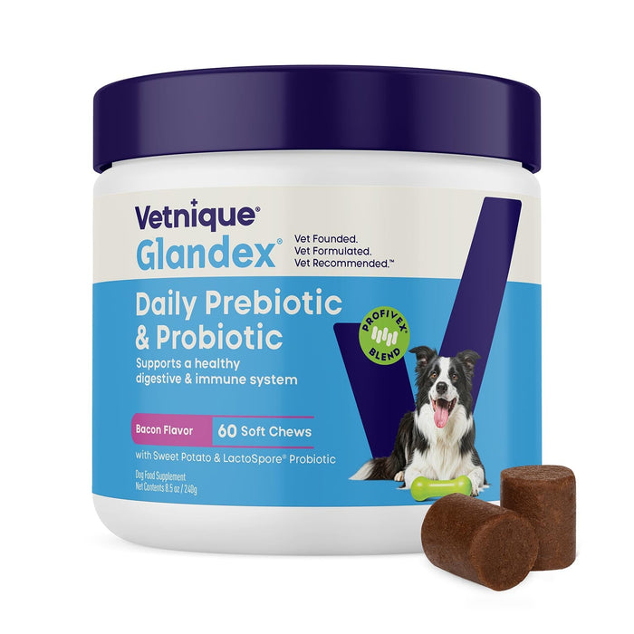 Glandex Daily Prebiotic & Probiotic Soft Chews for Dogs, Bacon Flavor - VQLB7 - Bacon - 60 count - 3