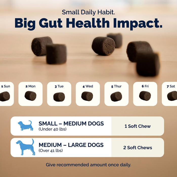 Glandex Daily Prebiotic & Probiotic Soft Chews for Dogs, Bacon Flavor - VQLB8 - Bacon - 120 count - 12