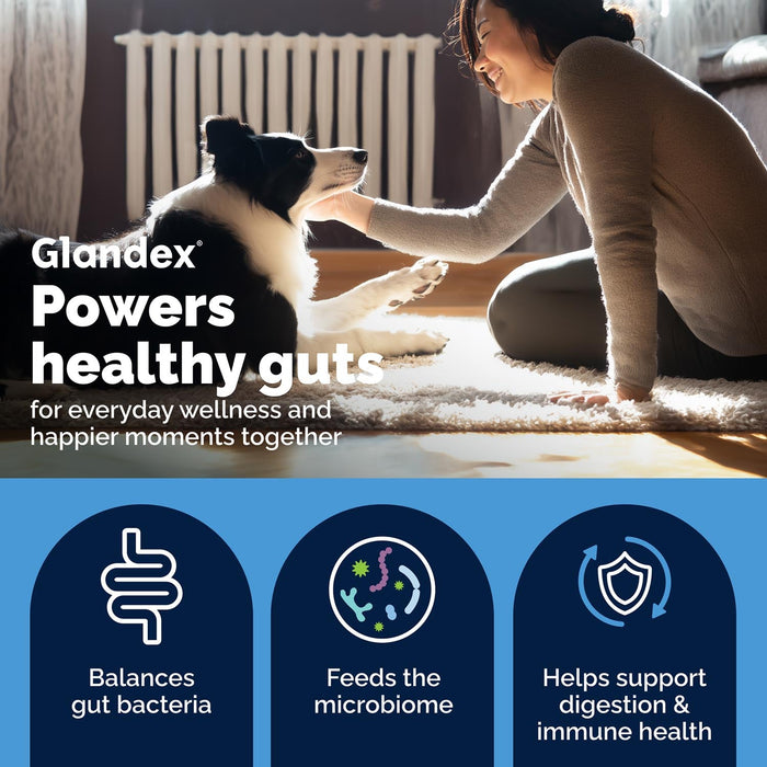 Glandex Daily Prebiotic & Probiotic Soft Chews for Dogs, Bacon Flavor - VQLB8 - Bacon - 120 count - 7