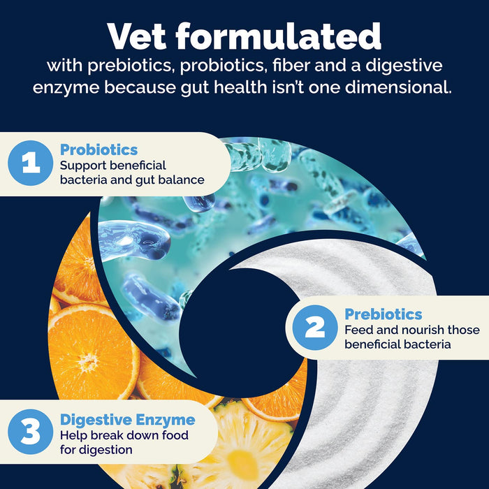 Glandex Daily Prebiotic & Probiotic Soft Chews for Dogs, Bacon Flavor - VQLB8 - Bacon - 120 count - 11