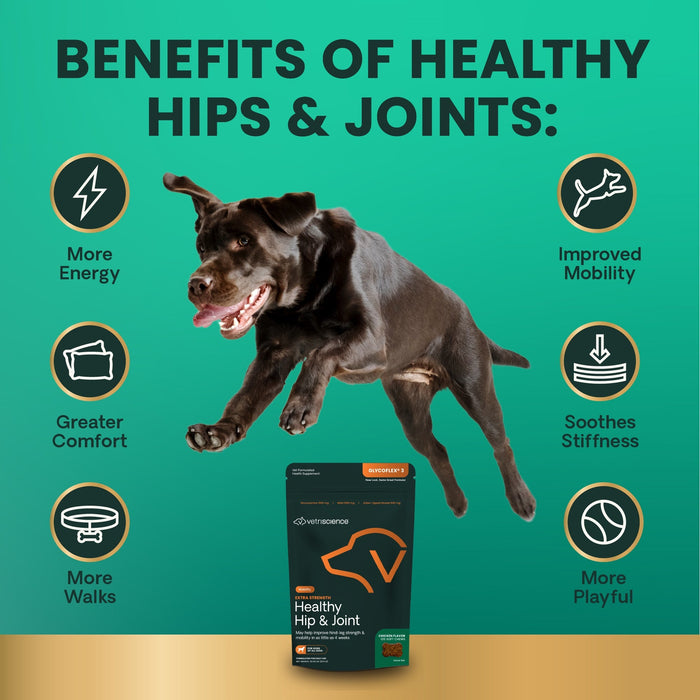 Glyco Flex 3 Joint Support for Dogs, 120 Bite Sized Chews - 015VS-9569-12 - 120 ct - 5