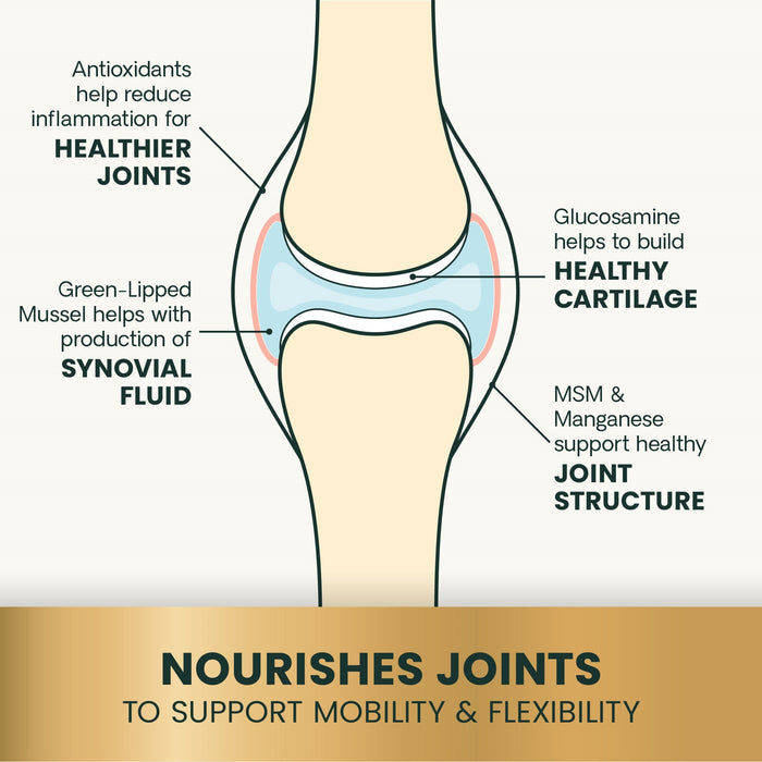 Glyco Flex 3 Joint Support for Dogs, 120 Bite Sized Chews - 015VS-9569-12 - 120 ct - 8