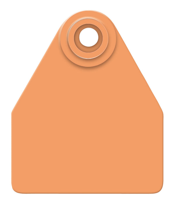 Allflex Global Blank Ear Tags (Medium), 25 count - Orange  