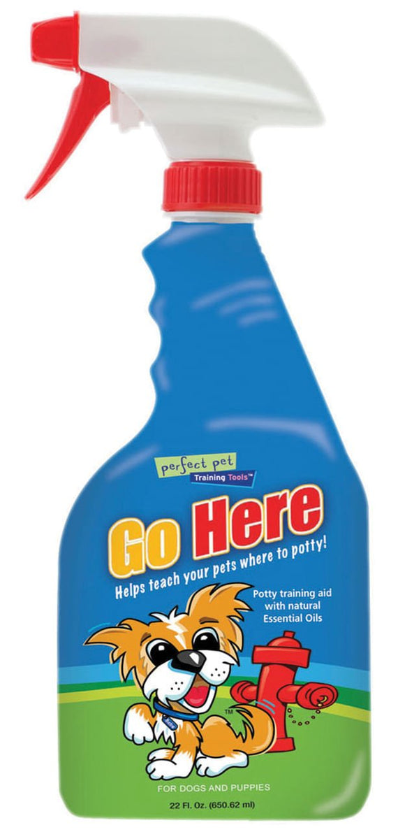 Go Here! Potty Training Aid, 22 oz — Jeffers